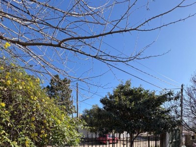 CASA DE 3 DORMITORIOS OPORTUNIDAD !!