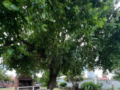 LOTE TERRENO Bº MALVINAS 