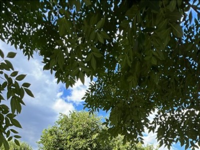 LOTE TERRENO Bº MALVINAS 