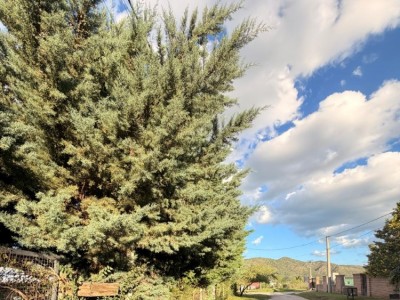 CASA CON PILETA PLAYAS DE ORO