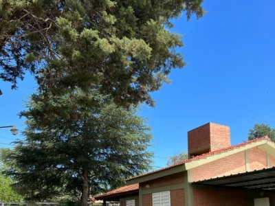 CASA + 2 CABAÑAS CON PILETA